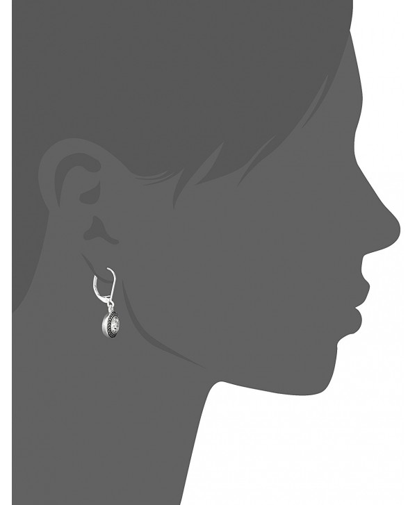 Color Declaration Swarovski Lever-Back Drop Earrings - Silver - C511OJU0CH5